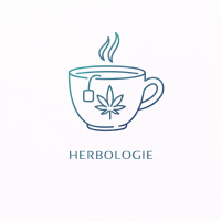 ChatGPT Image Dec 28, 2025, 12_38_03 PM